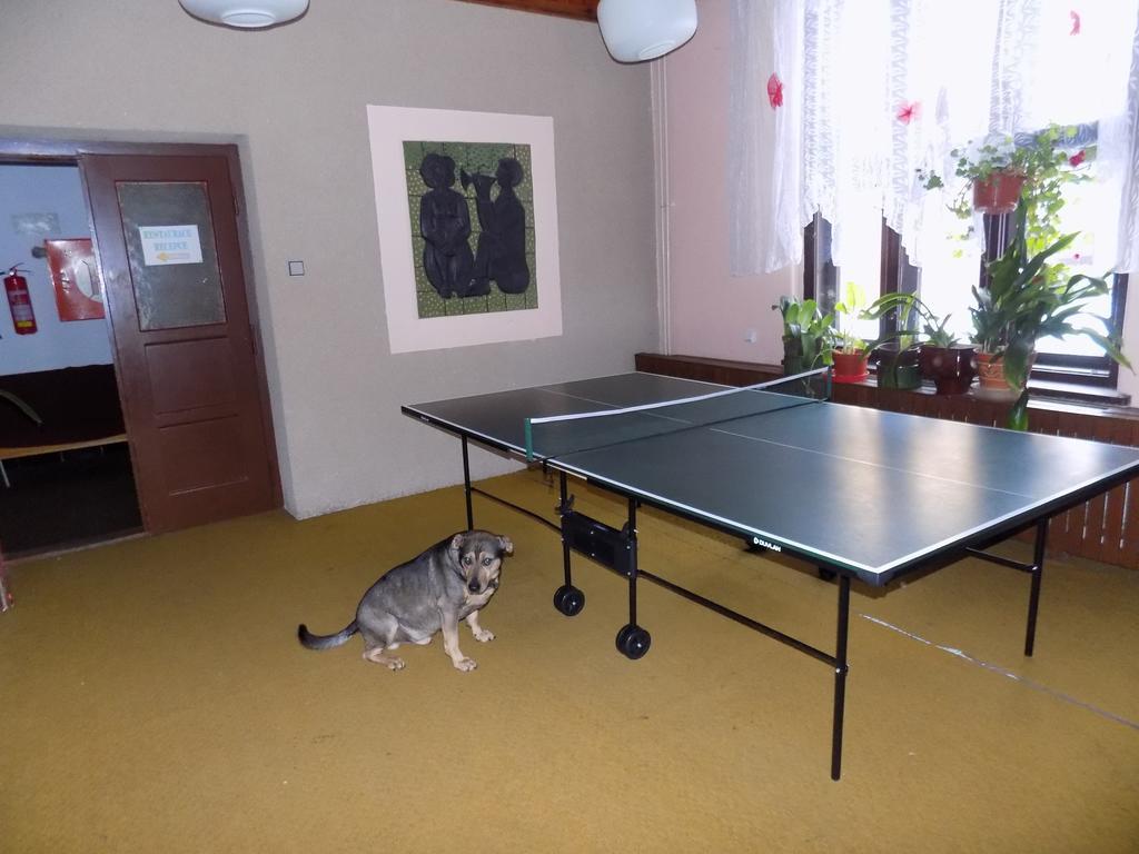 Penzion Heřmanice Králíky Esterno foto