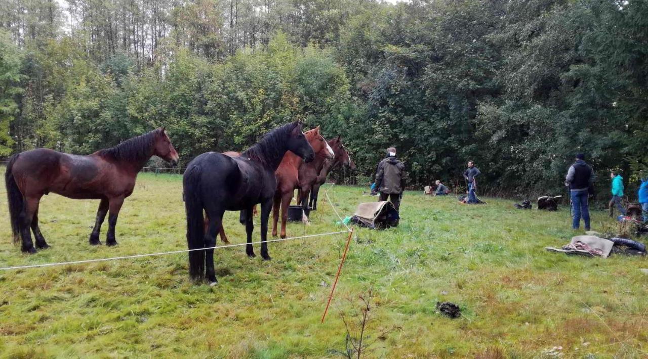 Penzion Heřmanice Králíky Esterno foto